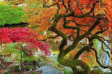 无尽纵横的全新动作游戏《索尼克 未知边境》最新视频“看点预览#1”现已公开！